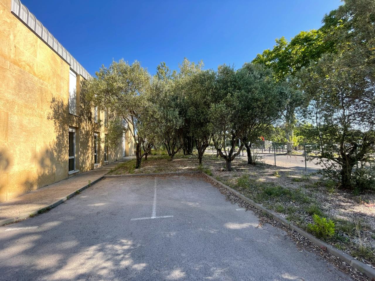 Local d'activité Montpellier 739m² Vente local d'activité Montpellier Hérault OVACT2532440 6